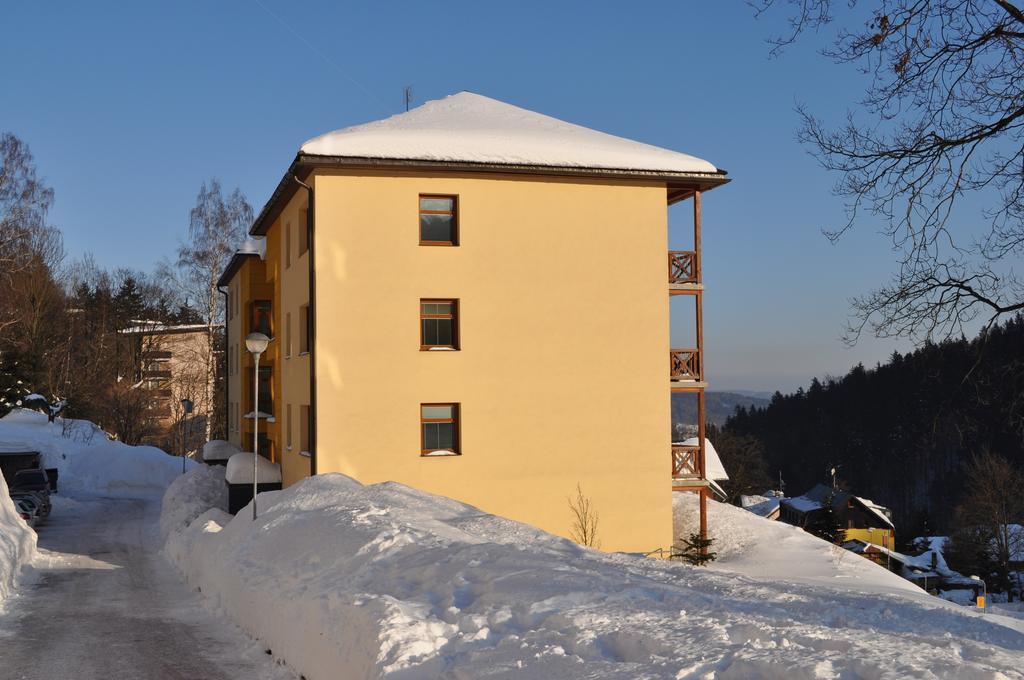 Apartman Kamila Janske Lazne Bilik gambar